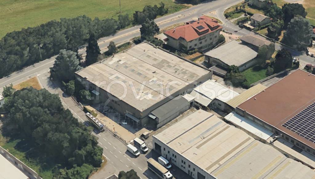 immagine annuncio 3 di 9