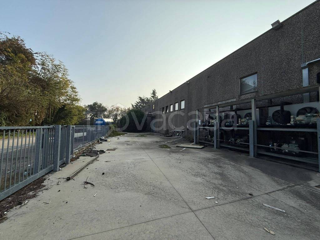 immagine annuncio 5 di 9