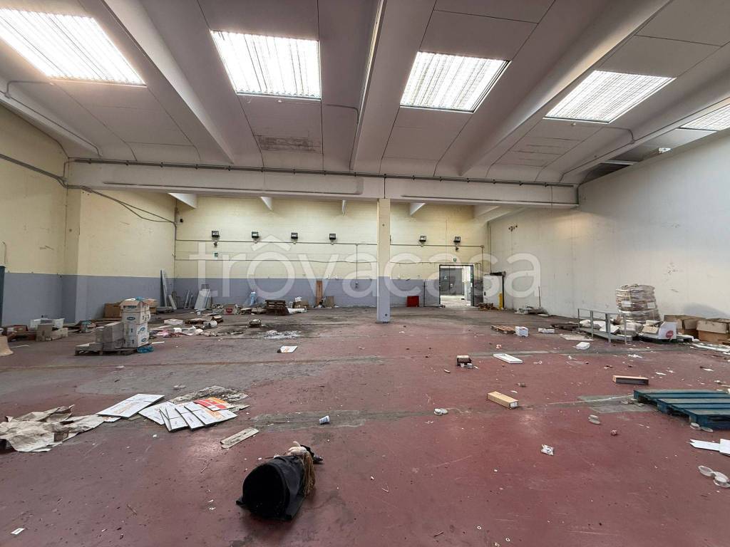 immagine annuncio 2 di 9