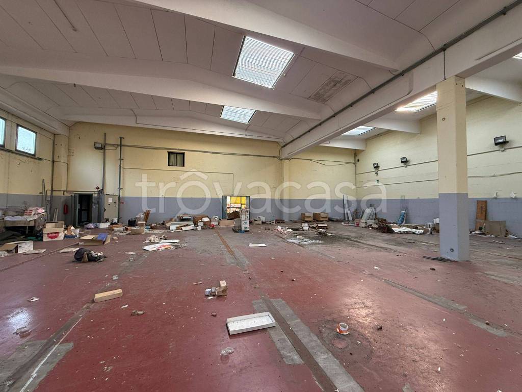 immagine annuncio 6 di 9