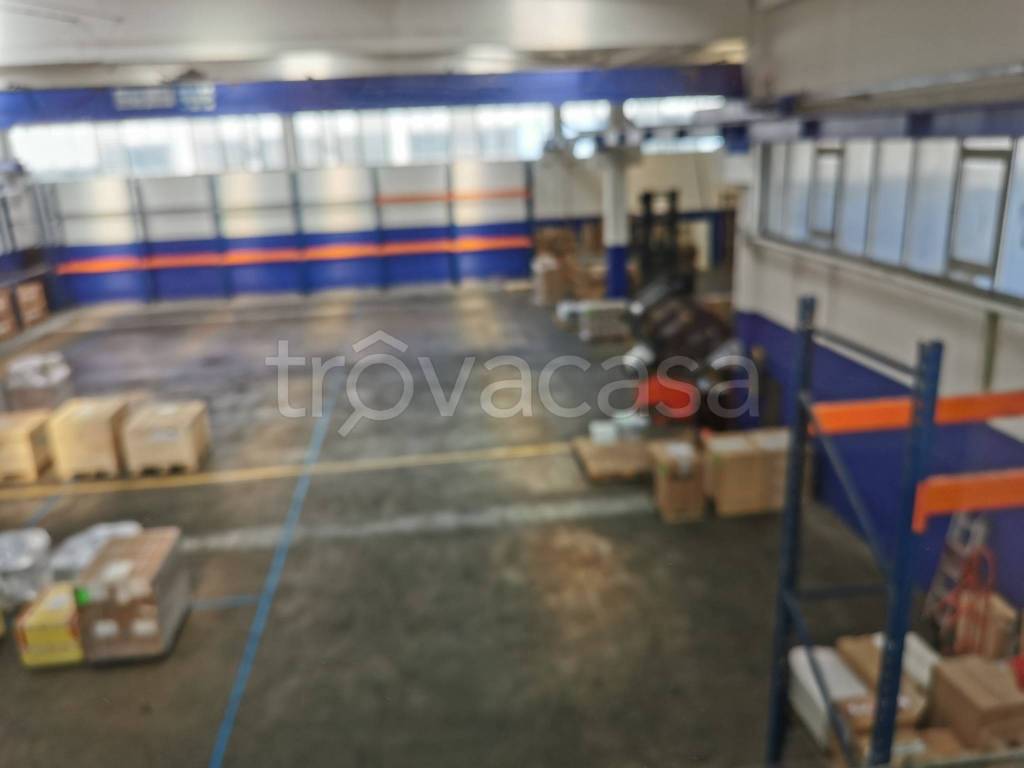 immagine annuncio 3 di 14