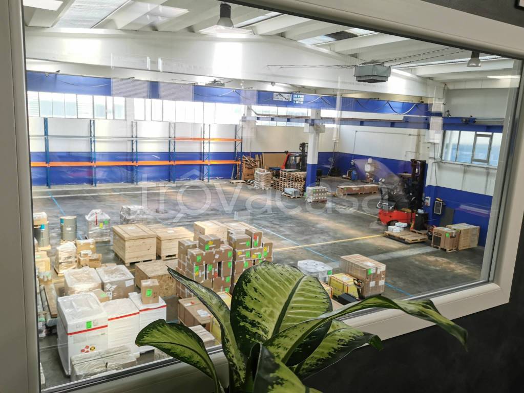 immagine annuncio 4 di 14