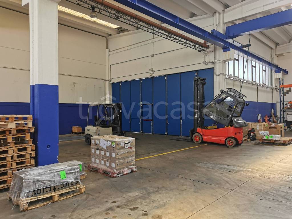 immagine annuncio 8 di 14