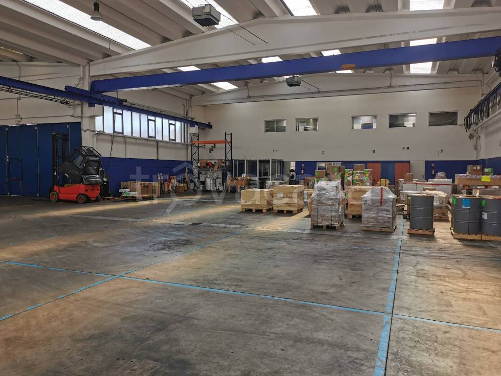 immagine annuncio 9 di 14