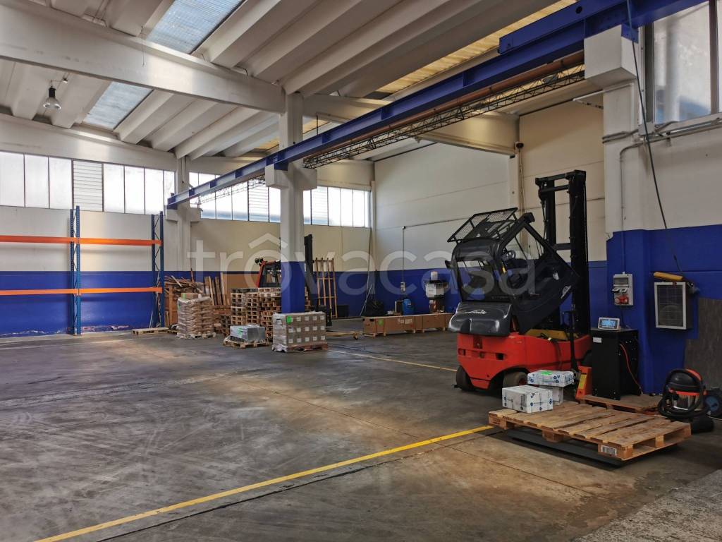 immagine annuncio 10 di 14