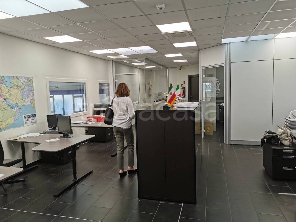 immagine annuncio 11 di 14