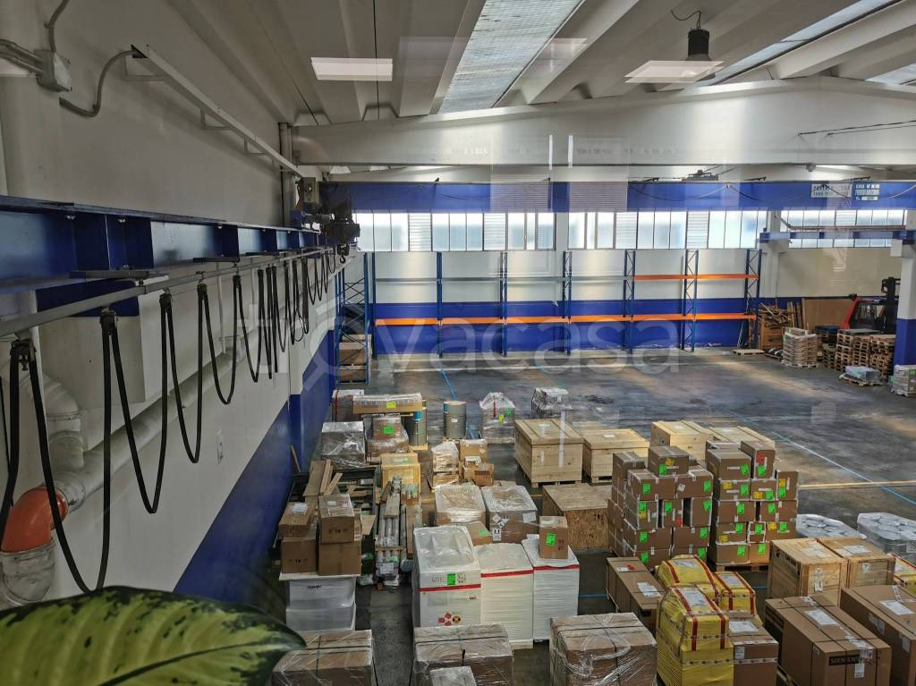 immagine annuncio 12 di 14