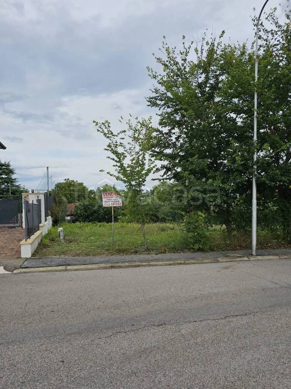 immagine annuncio 3 di 4