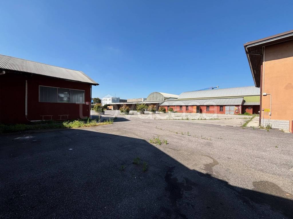 immagine annuncio 4 di 14