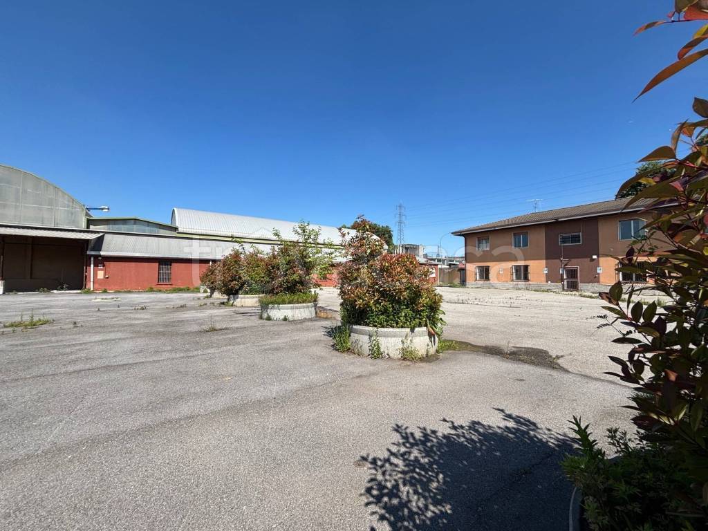 immagine annuncio 2 di 14