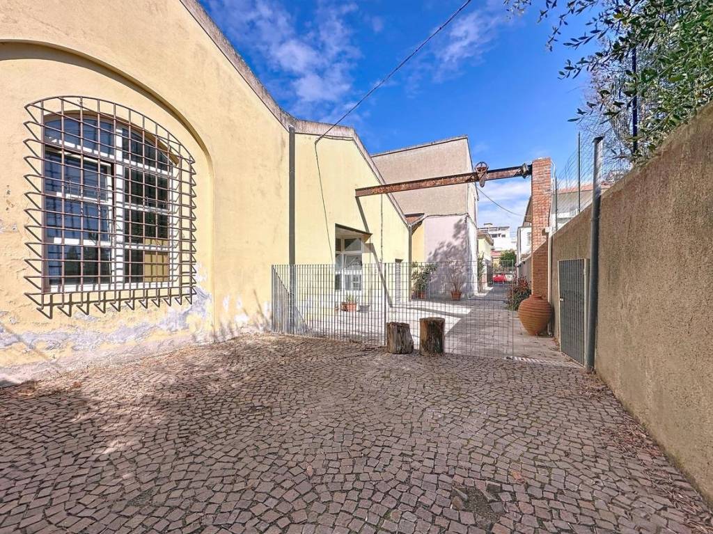 immagine annuncio 12 di 15