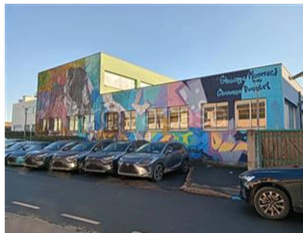 immagine annuncio 1 di 15