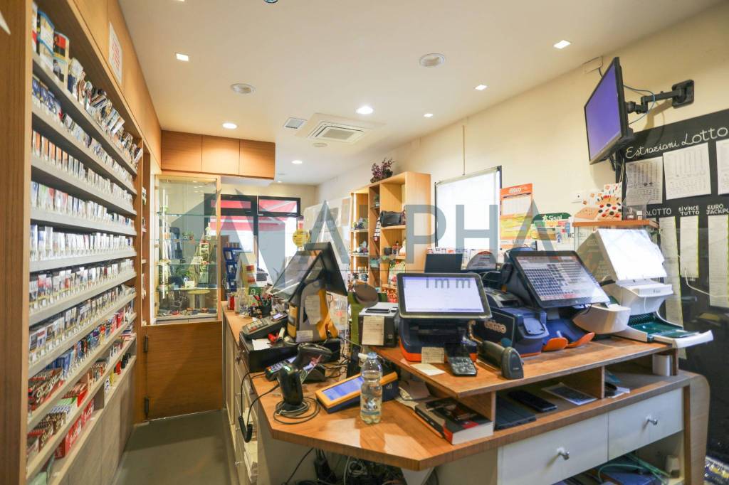 immagine annuncio 4 di 14