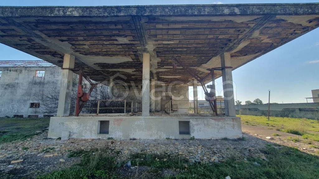 immagine annuncio 2 di 11