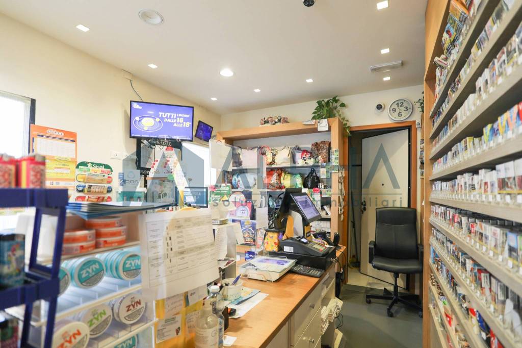 immagine annuncio 5 di 14