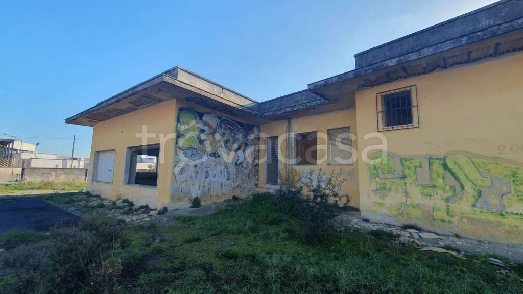 immagine annuncio 3 di 11