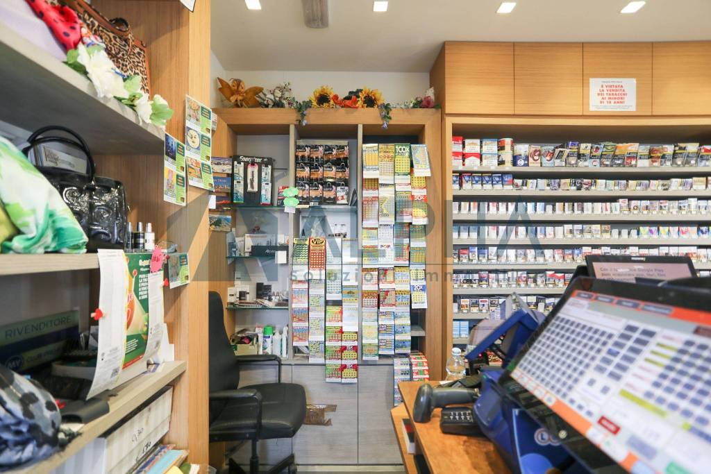 immagine annuncio 6 di 14