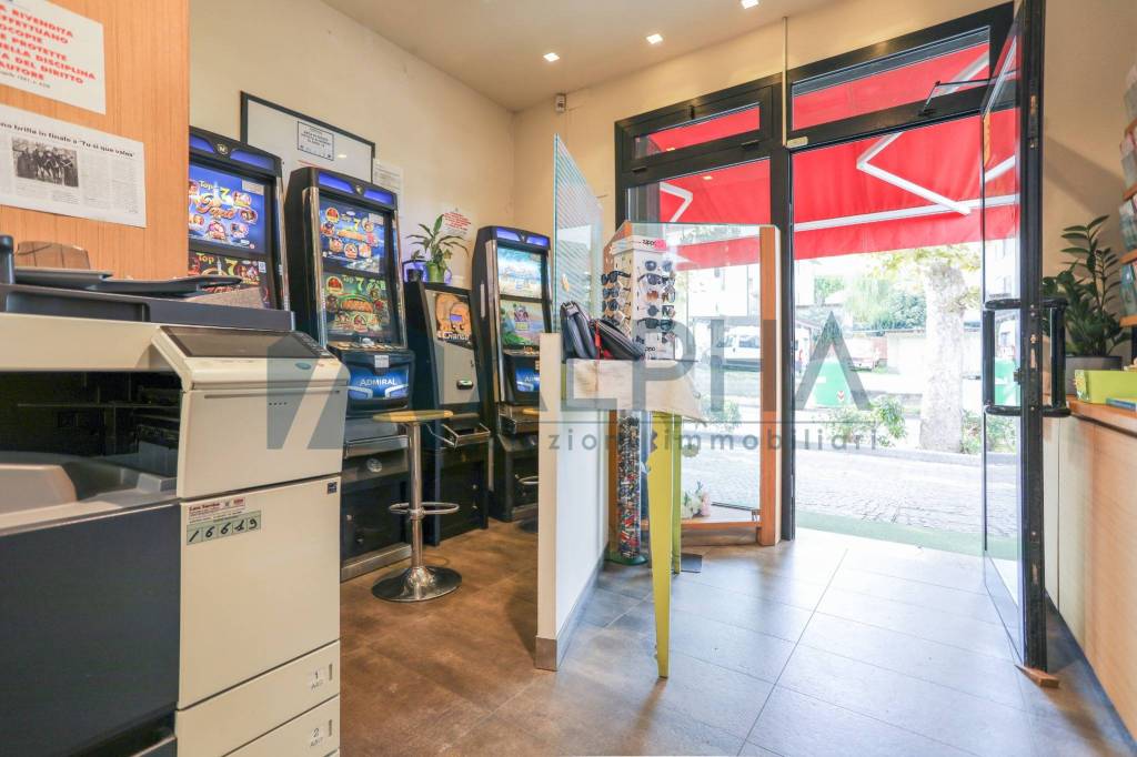 immagine annuncio 9 di 14