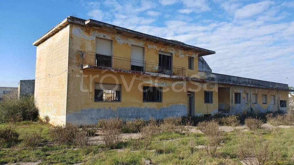 immagine annuncio 8 di 11