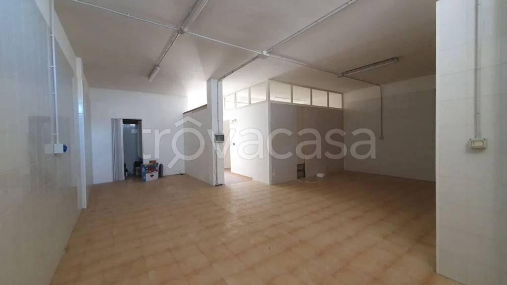 immagine annuncio 10 di 14