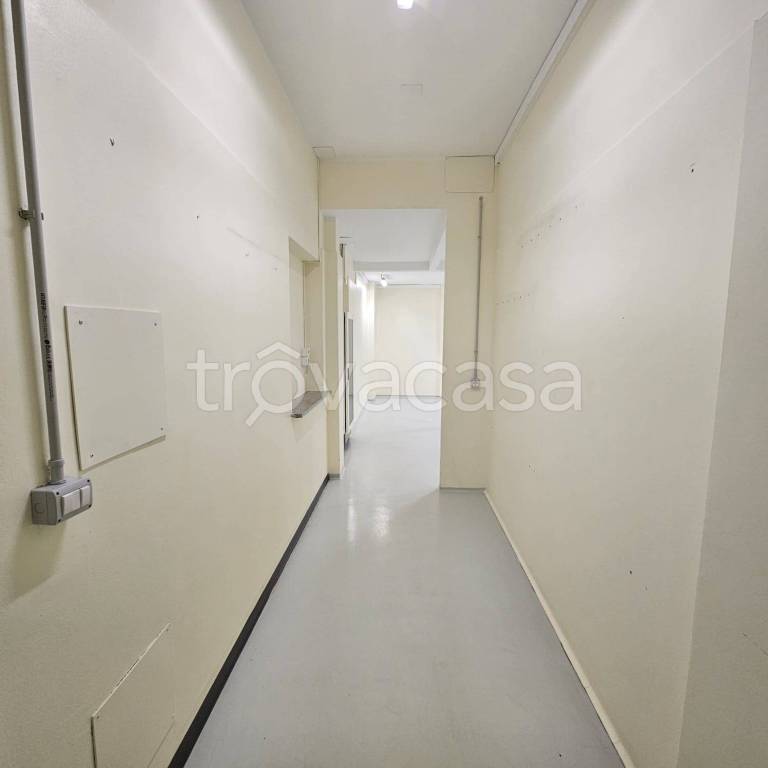 immagine annuncio 4 di 8