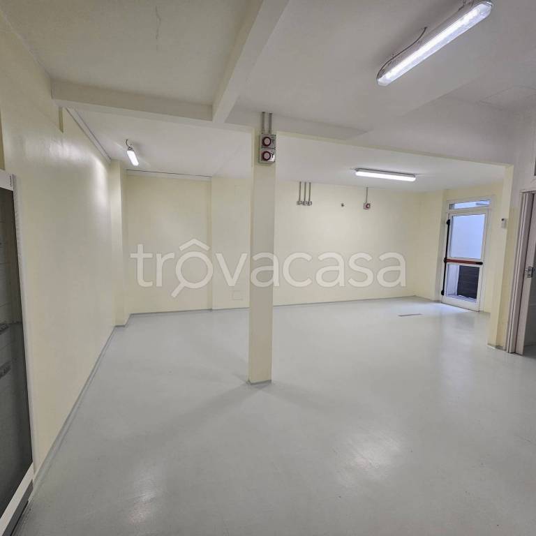 immagine annuncio 6 di 8