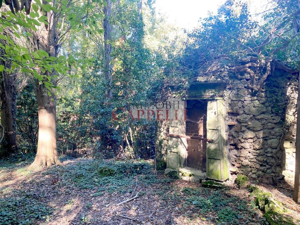 immagine annuncio 11 di 15