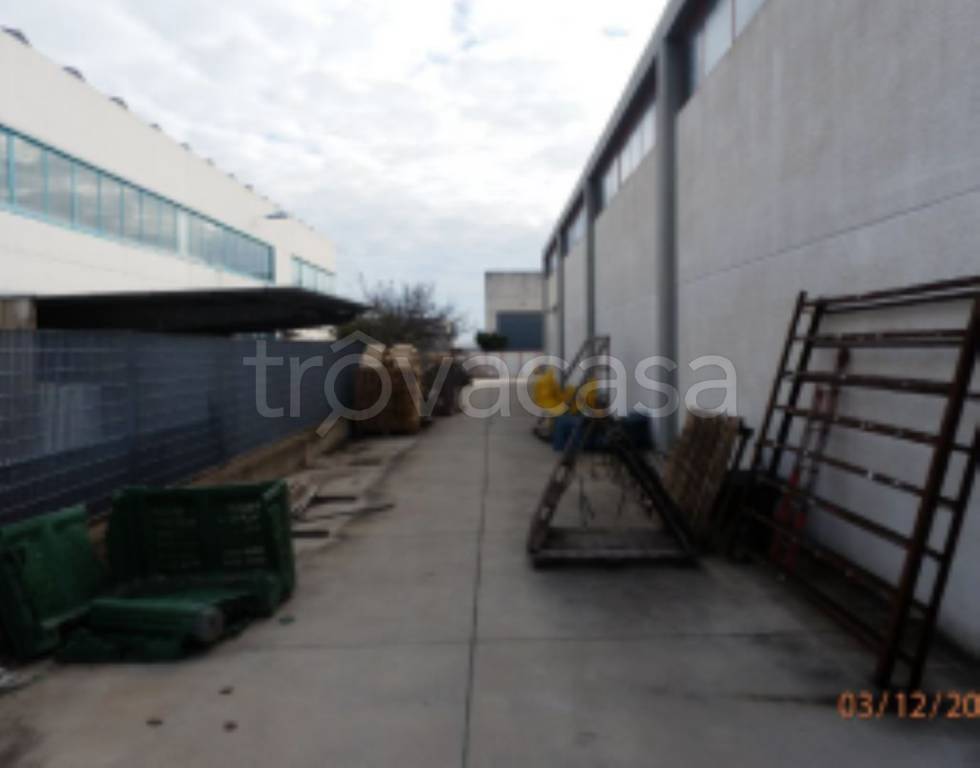 immagine annuncio 2 di 14