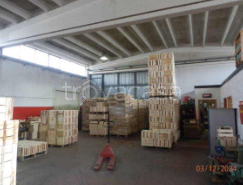 immagine annuncio 9 di 14