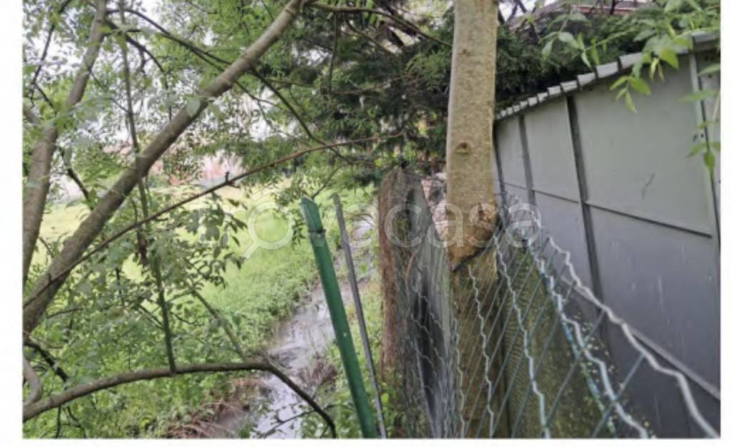 immagine annuncio 6 di 14