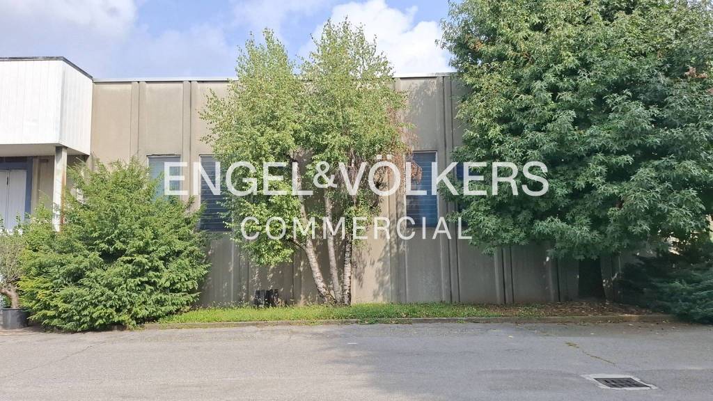 immagine annuncio 8 di 11