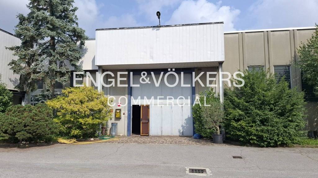 immagine annuncio 9 di 11