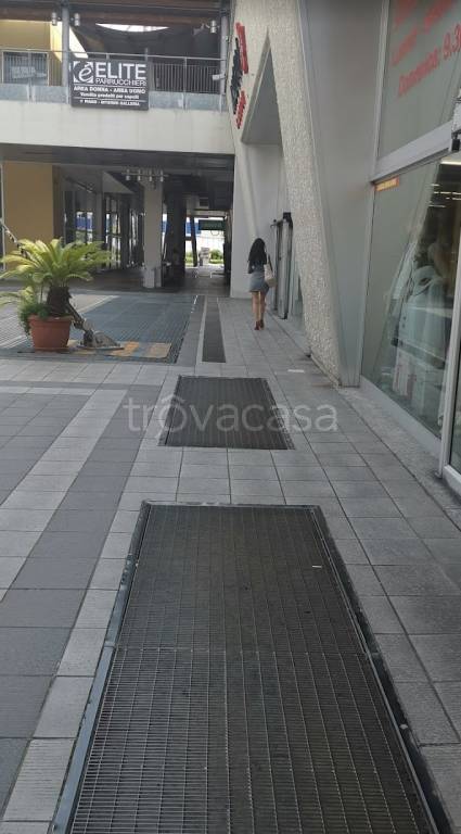 immagine annuncio 4 di 12