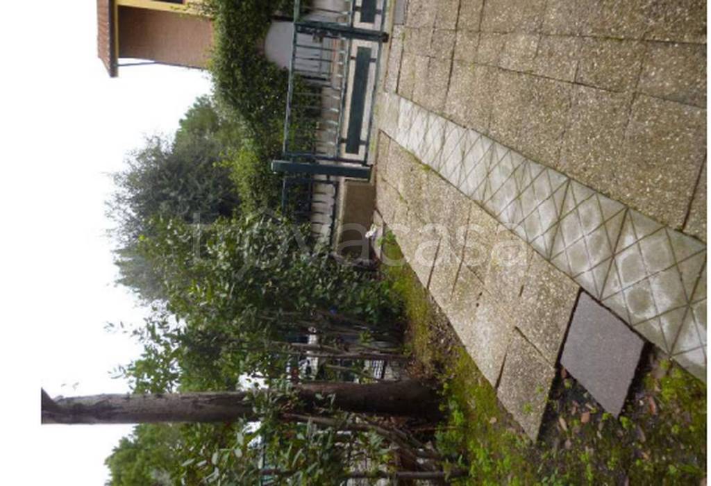 immagine annuncio 9 di 13