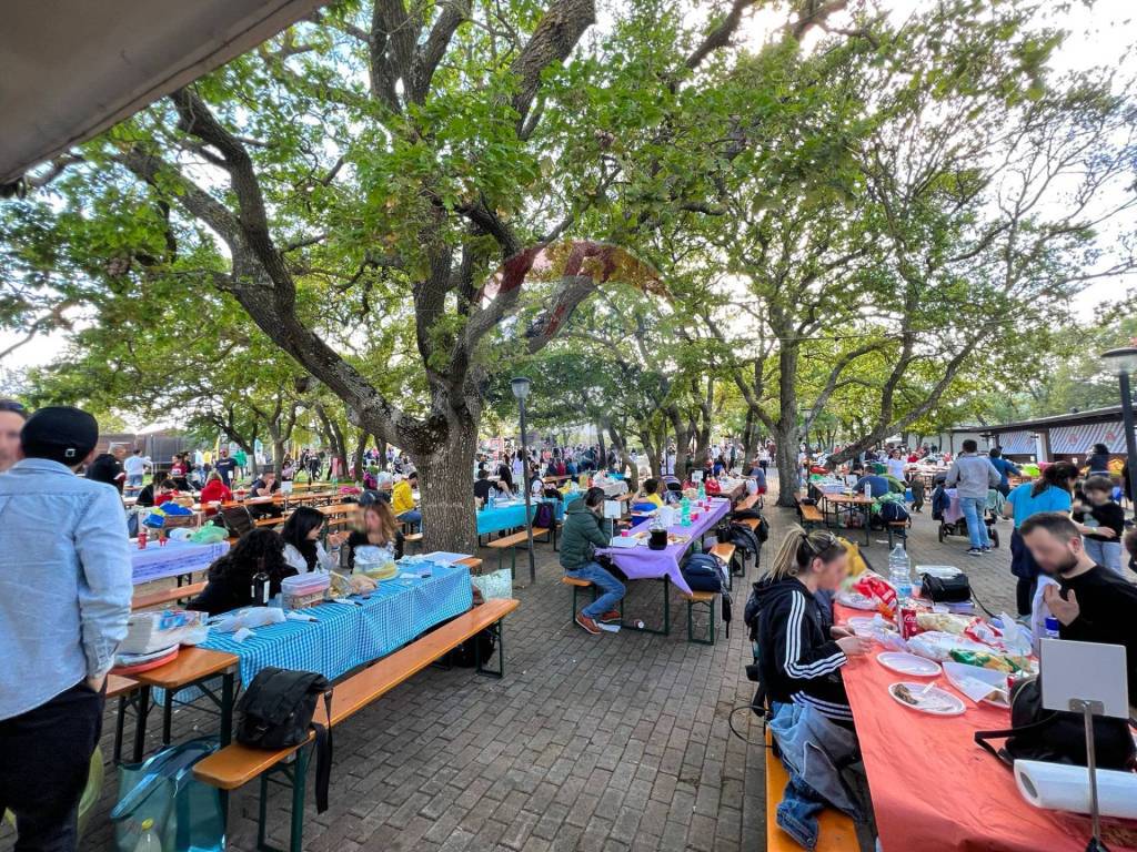 immagine annuncio 8 di 10