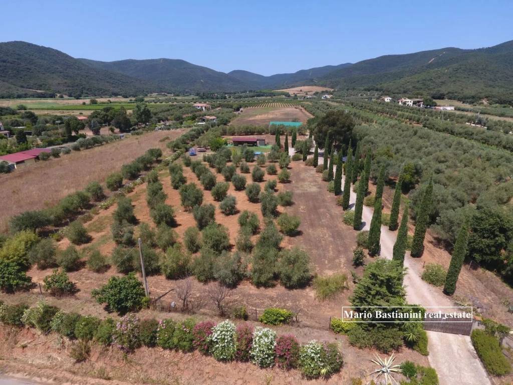 immagine annuncio 2 di 7