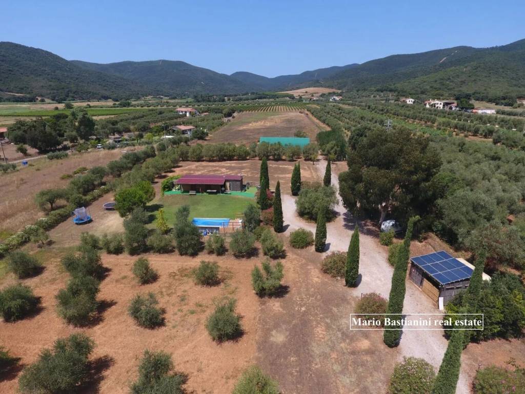 immagine annuncio 4 di 7