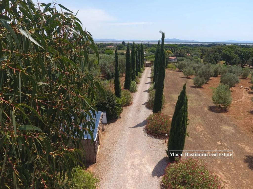 immagine annuncio 6 di 7