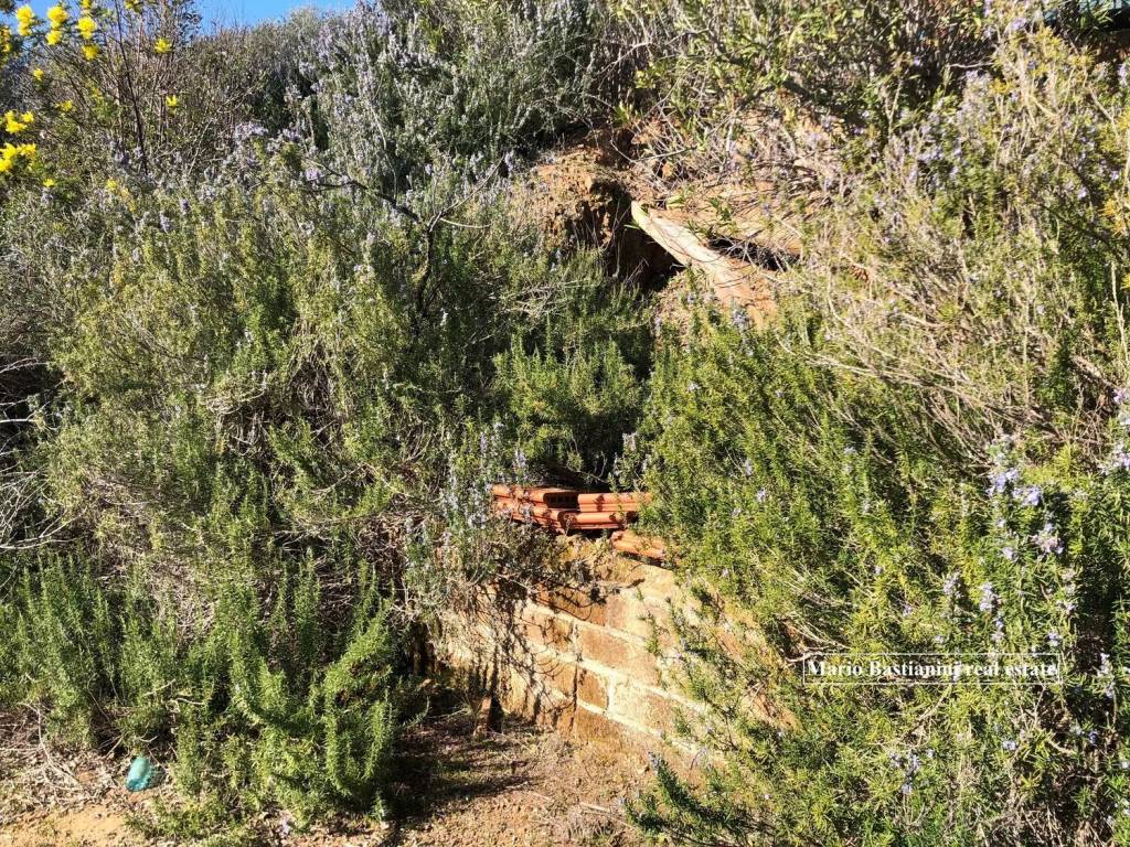 immagine annuncio 2 di 12