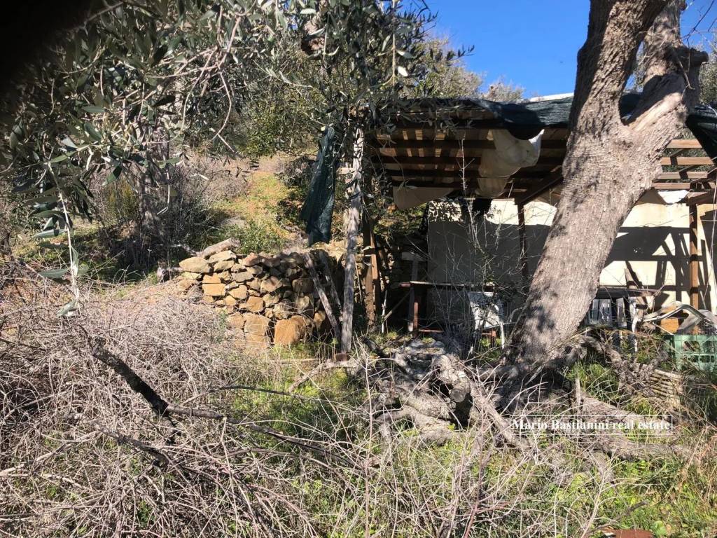 immagine annuncio 9 di 12