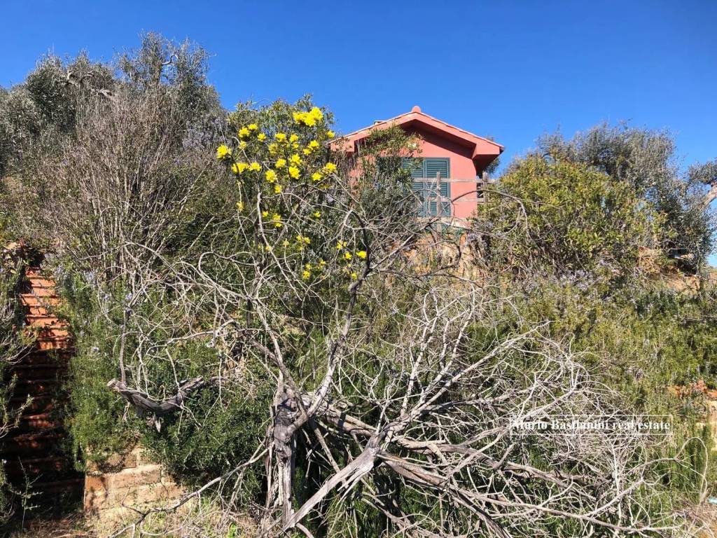 immagine annuncio 10 di 12