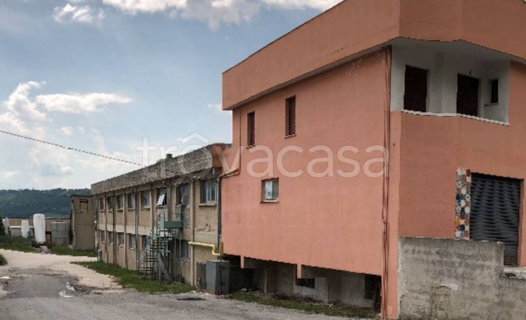 immagine annuncio 8 di 11