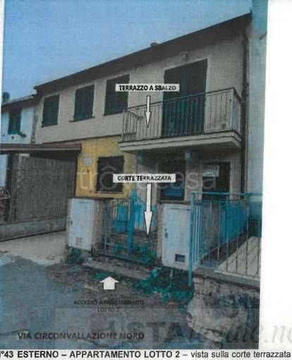 immagine annuncio 8 di 11