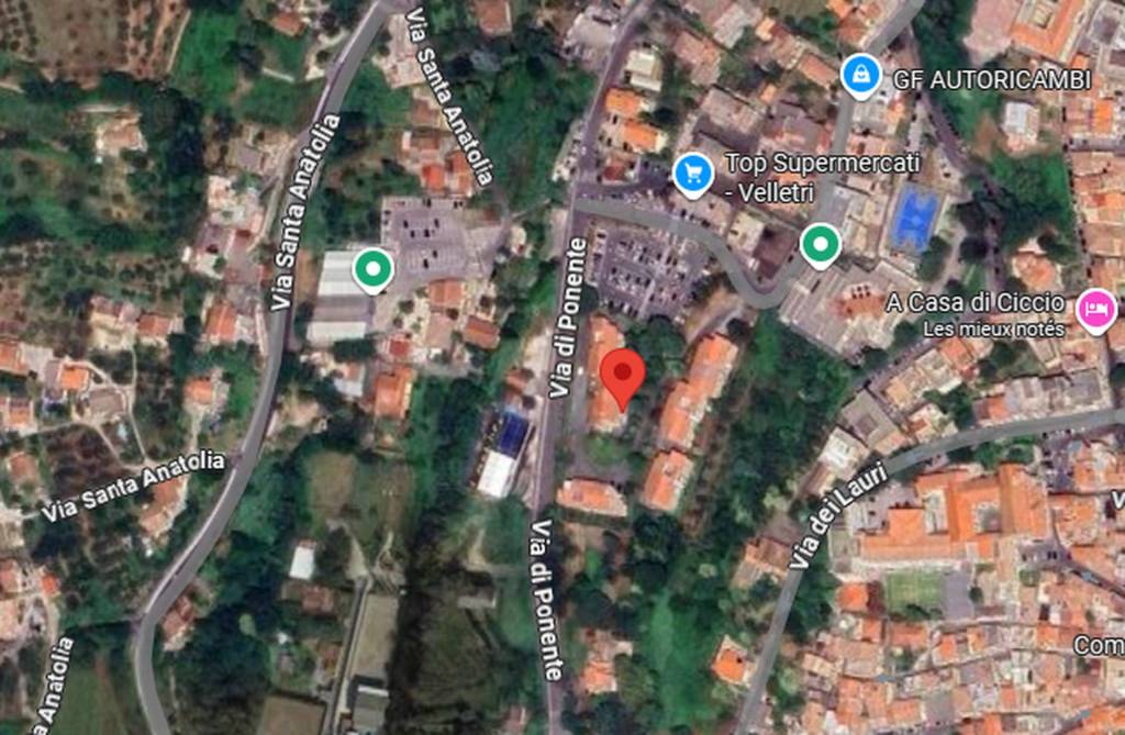 immagine annuncio 7 di 13