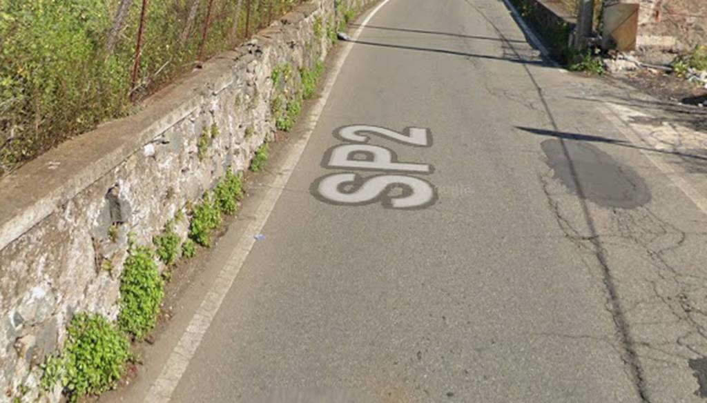 immagine annuncio 11 di 14