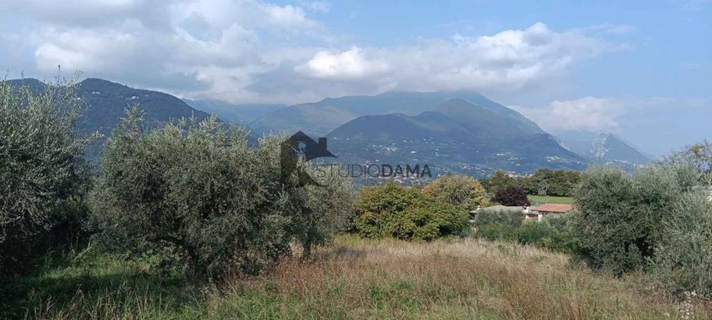 immagine annuncio 6 di 8