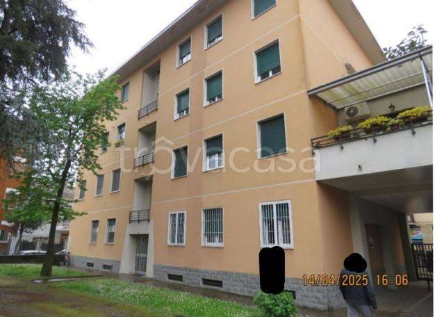 immagine annuncio 6 di 15