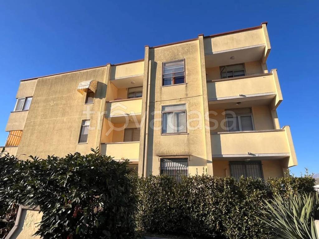 immagine annuncio 1 di 12