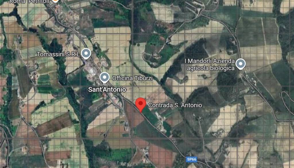 immagine annuncio 4 di 14