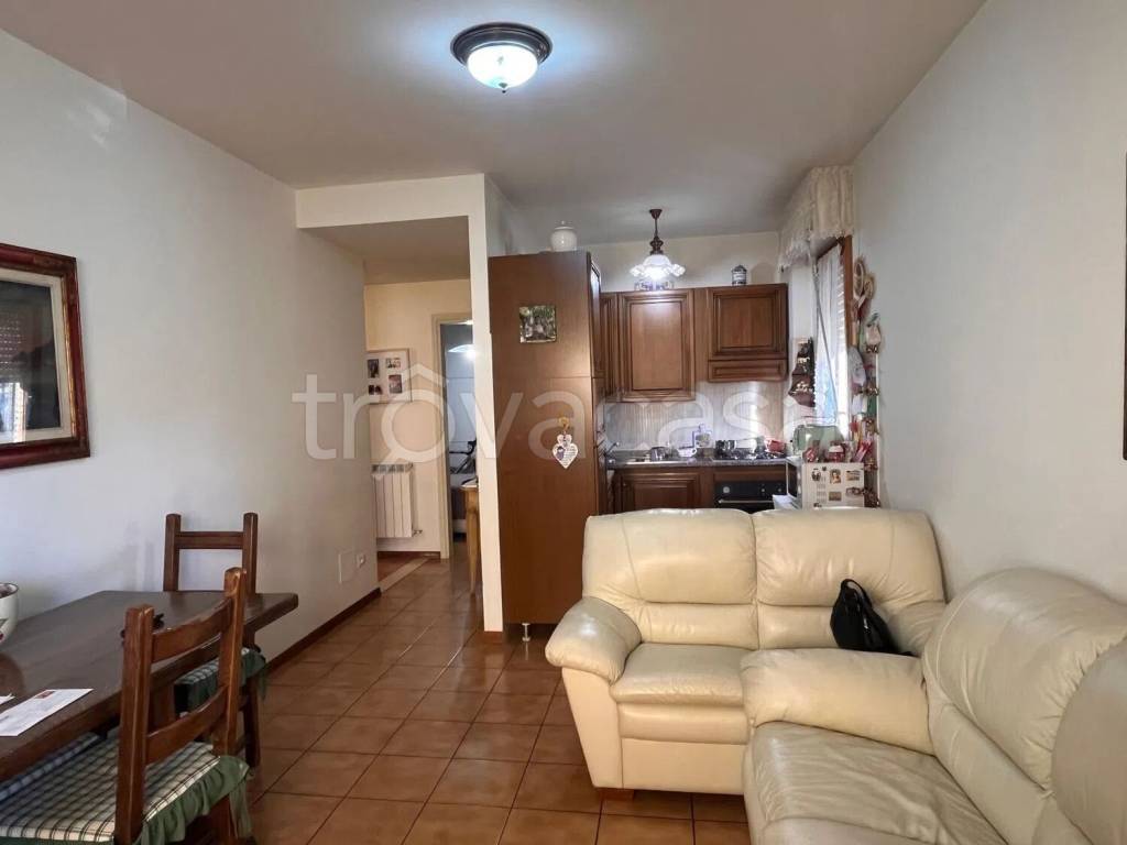 immagine annuncio 4 di 12